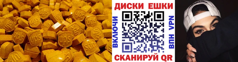 ЭКСТАЗИ Philipp Plein Сокол