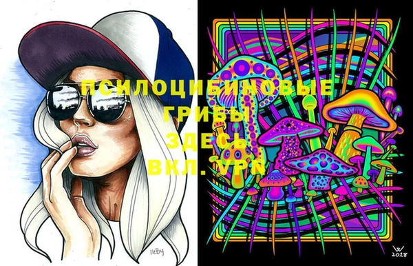 спайс Аркадак