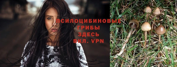 спайс Аркадак