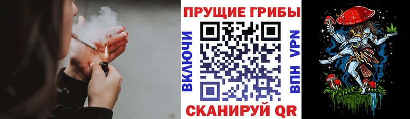 Псилоцибиновые грибы MAGIC MUSHROOMS  мега рабочий сайт  Сокол  где продают наркотики 