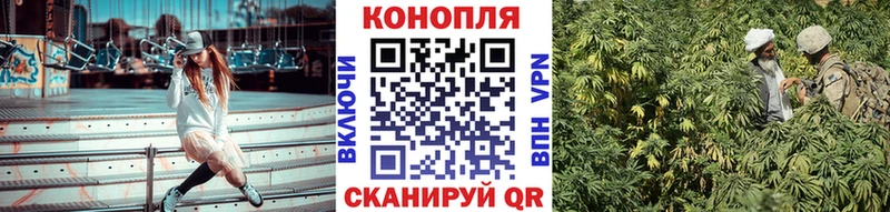 где продают   Сокол  Канабис OG Kush 